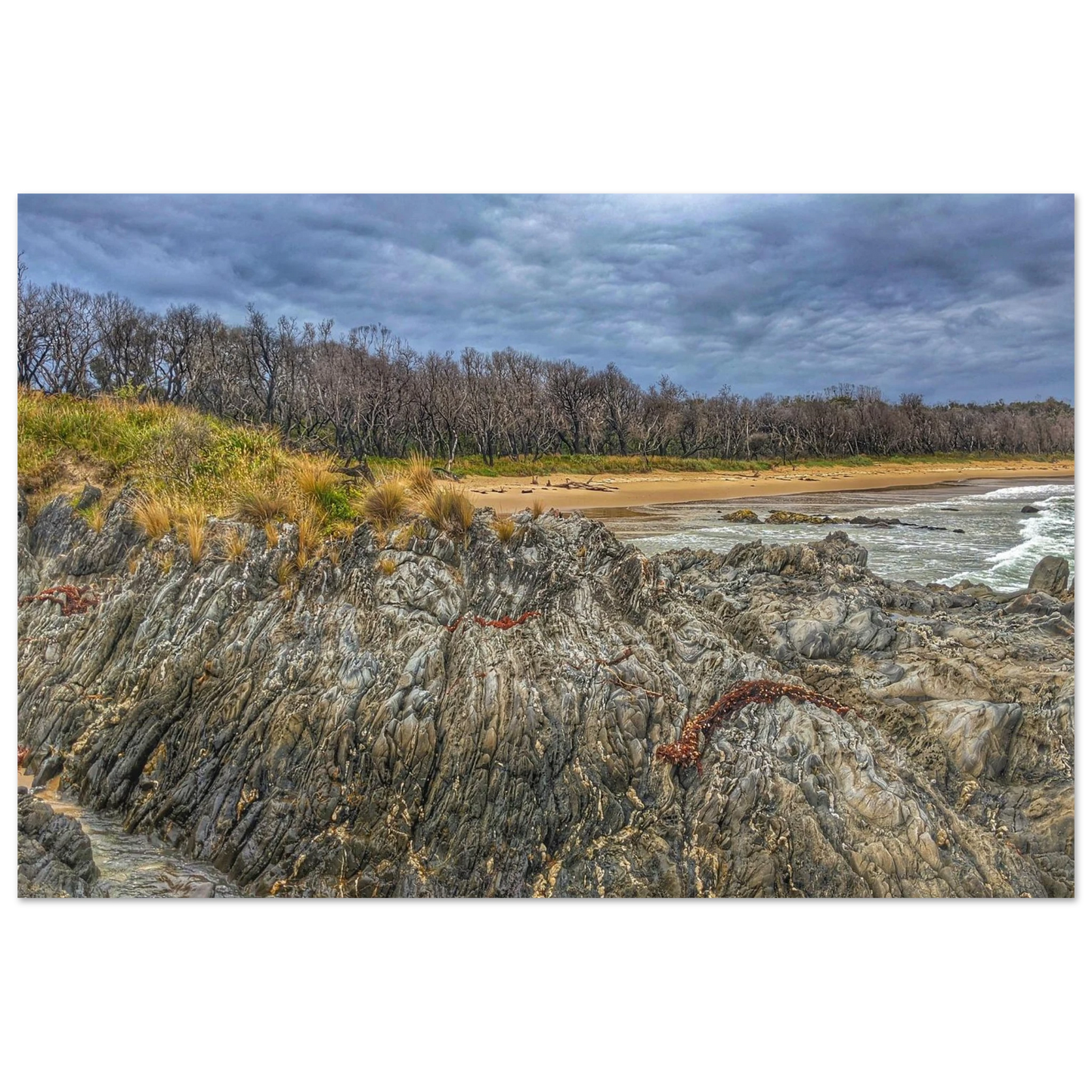 High contrast photograph taken at cape conran victoria. A rocky out crop in the foreground, beach and shrubs in the back, and waves rolling in on the right